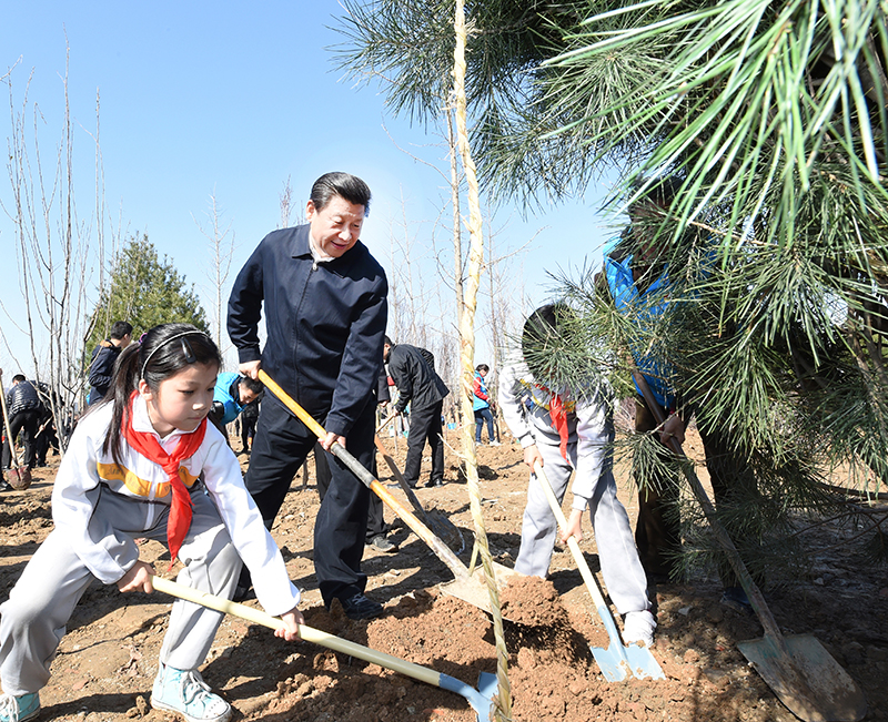 这是习近平同大家一起植树。新华社记者 张铎 摄