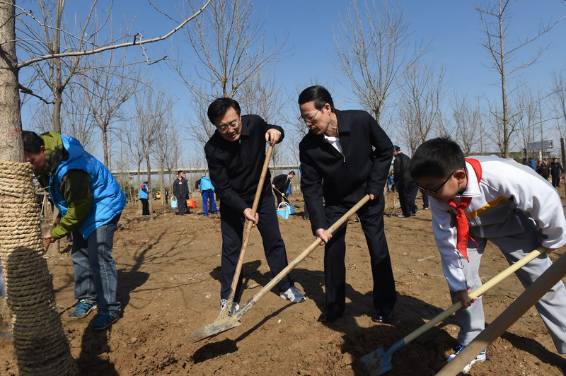 这是张高丽在植树。新华社记者 李学仁 摄