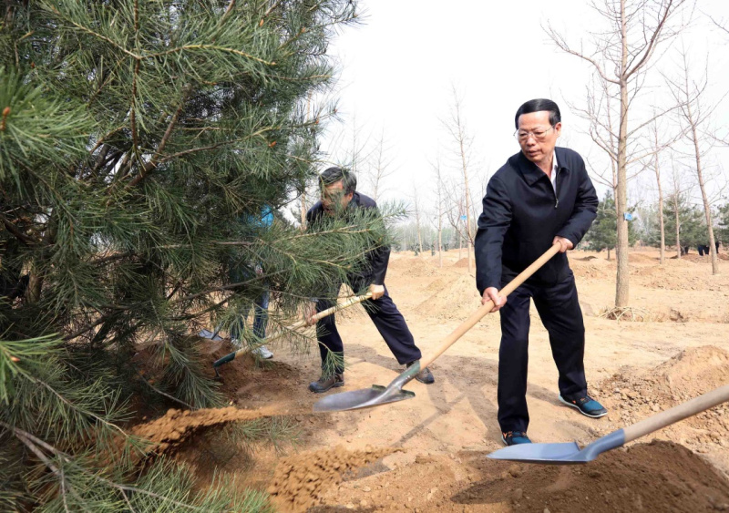 这是张高丽同大家一起植树。新华社记者 刘卫兵 摄