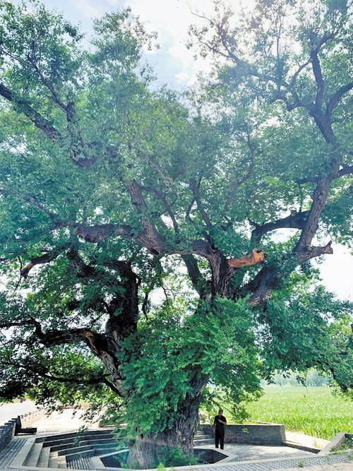 微信图片_20250929112448_1132_115 (1).jpg