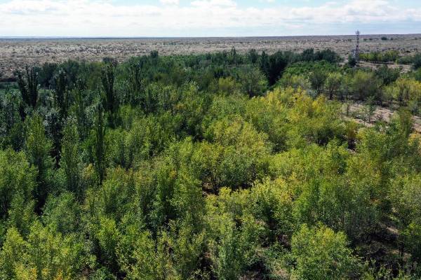 1760321446457934.jpg 1.jpg