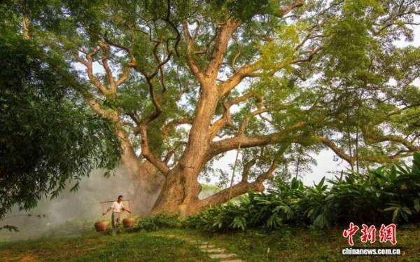 1760405183350029.jpg 20.jpg