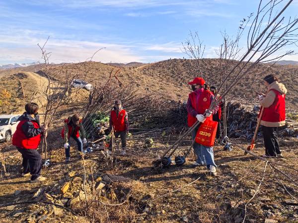 1761015434955413.jpg 5 (1).jpg