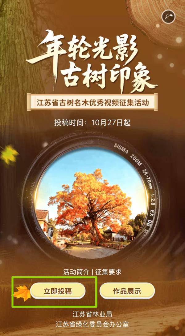 1761706710679927.jpg 3 (1).jpg