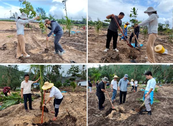 1762740793509545.png 5.png