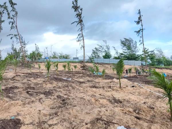 1762740799275907.jpg 6.jpg