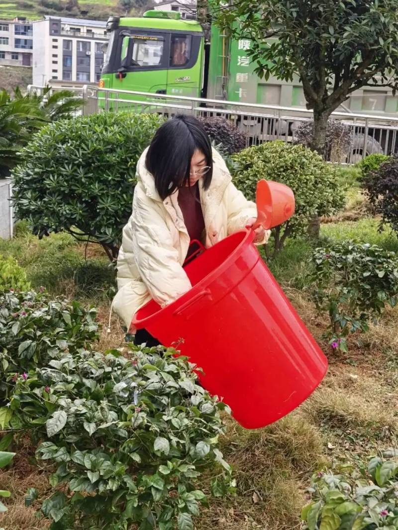 1770357085560661.jpg 2.jpg