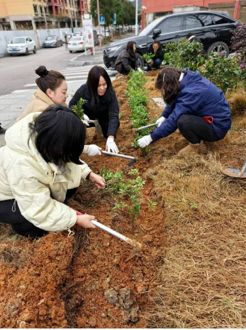 1770357093684802.jpg 3.jpg