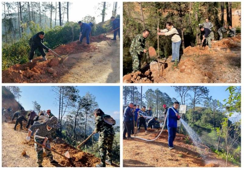 1770358856255782.jpg 10 (1).jpg