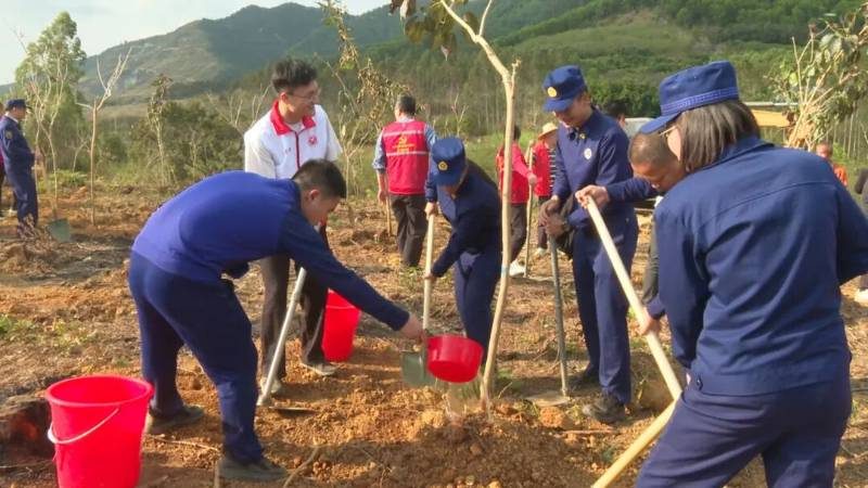 1770606443575050.jpg 1 (1).jpg