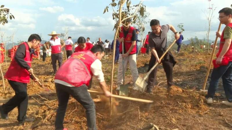 1770606450242634.jpg 2 (1).jpg