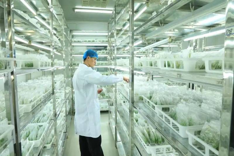 1770882144443611.jpg 1 (1).jpg