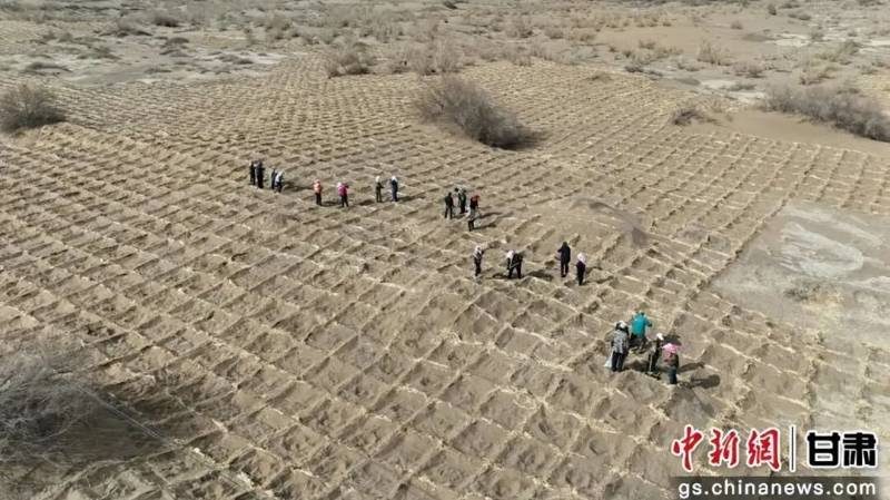 1770882329242399.jpg 4 (1).jpg