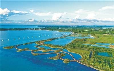 1770960569779467.jpg 11 (1).jpg