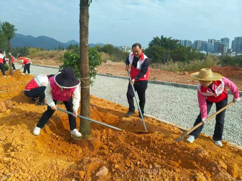 1770960750164300.jpg 1 (1).jpg