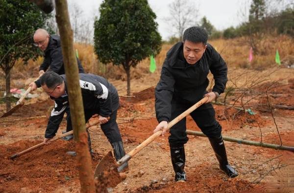 1771988584365882.jpg 1 (1).jpg