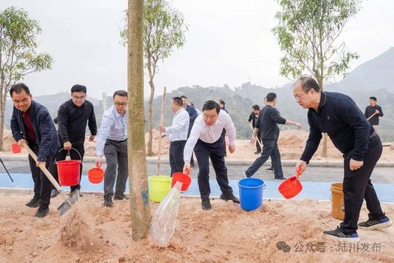 1771997987416042.jpg 5 (1).jpg