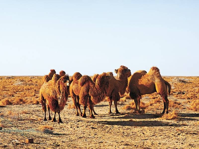 1772074260697554.jpg 4 (1).jpg