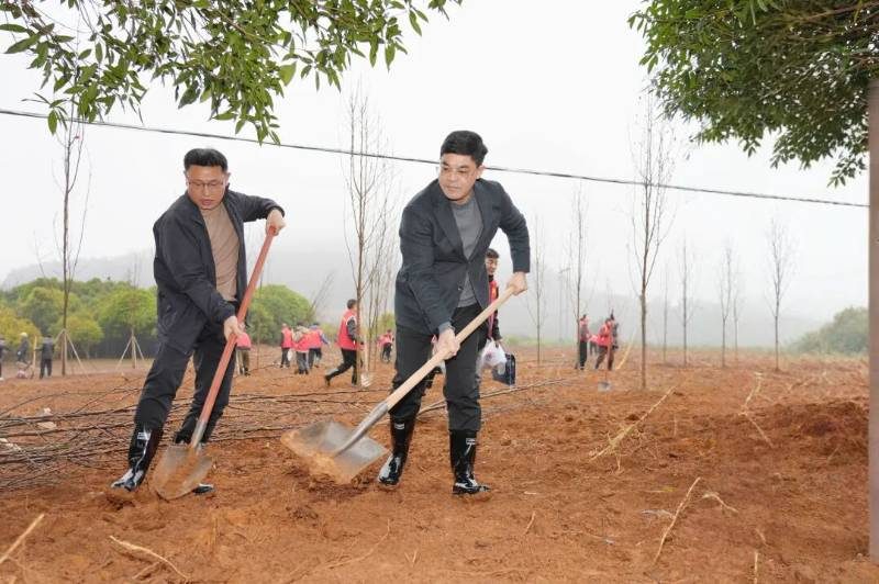 1772088288299994.jpg 3.jpg