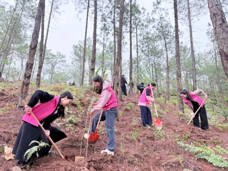 1772088639615403.jpg 6.jpg