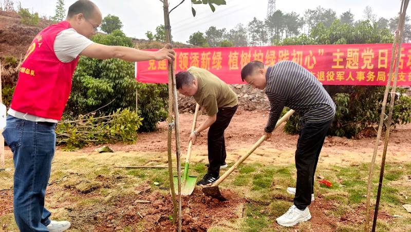 1772089778634116.jpg 1.jpg