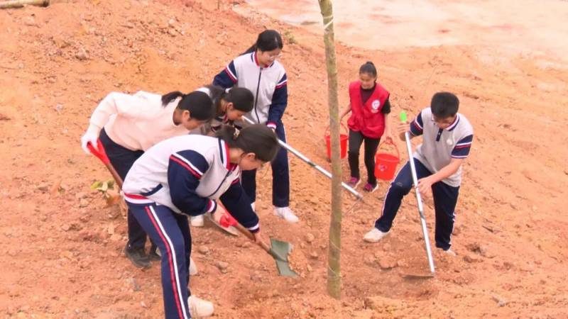 1772090289820061.jpg 4.jpg