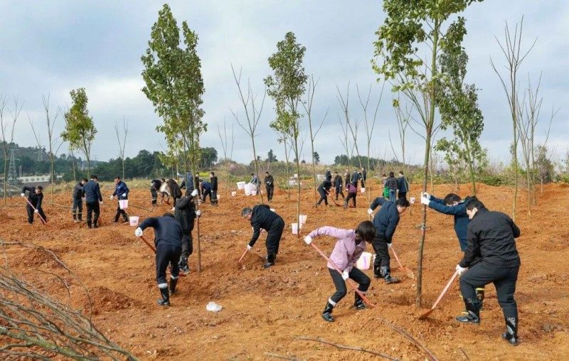 1772335108991920.jpg 3.jpg