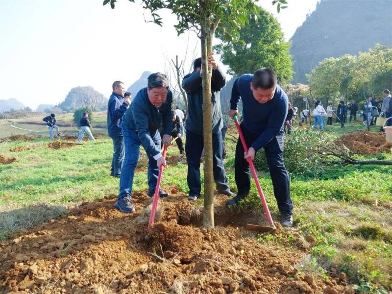 1772436487479492.jpg 1.jpg