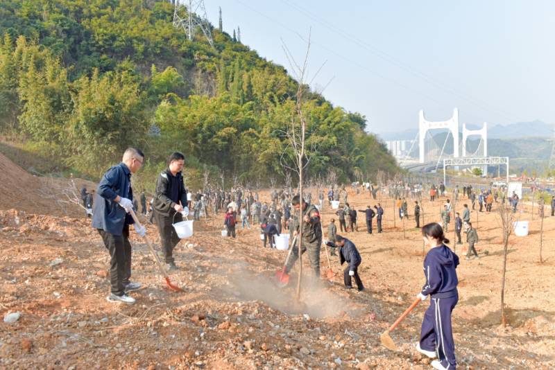 1772437055753617.jpg 640 (1).jpg