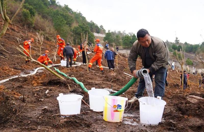 1772437363597745.jpg 20.jpg