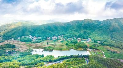 1772528586497644.jpg 6.jpg