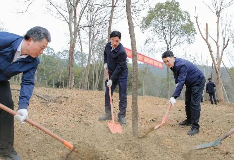 1772694911951136.jpg 1.jpg