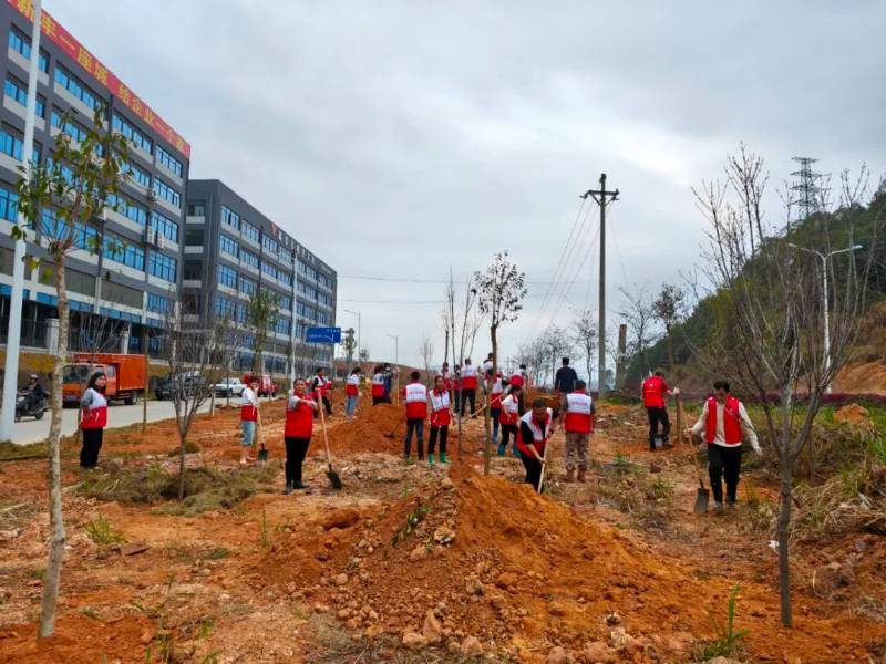 1772694966849622.jpg 3.jpg