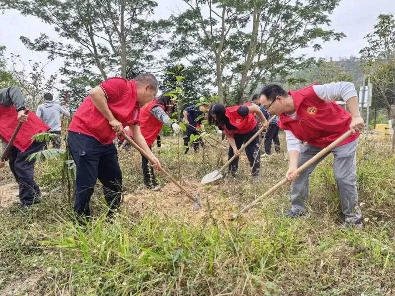 1772694997566654.jpg 4.jpg