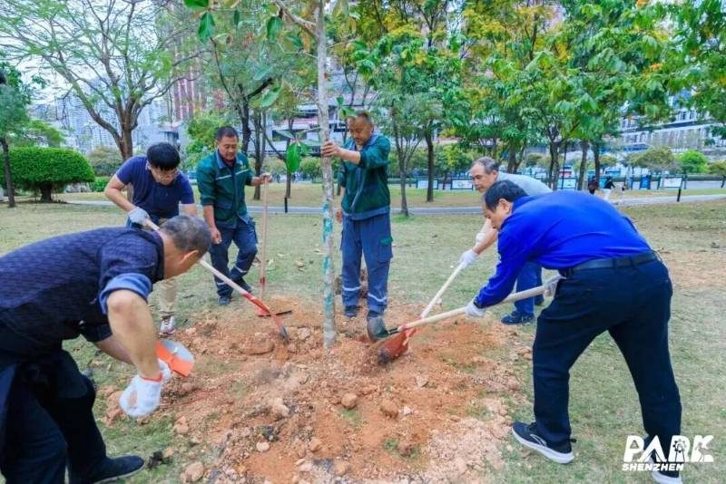 1772695006808045.jpg 5.jpg