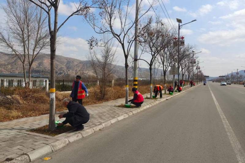 1772789377602600.jpg 13.jpg