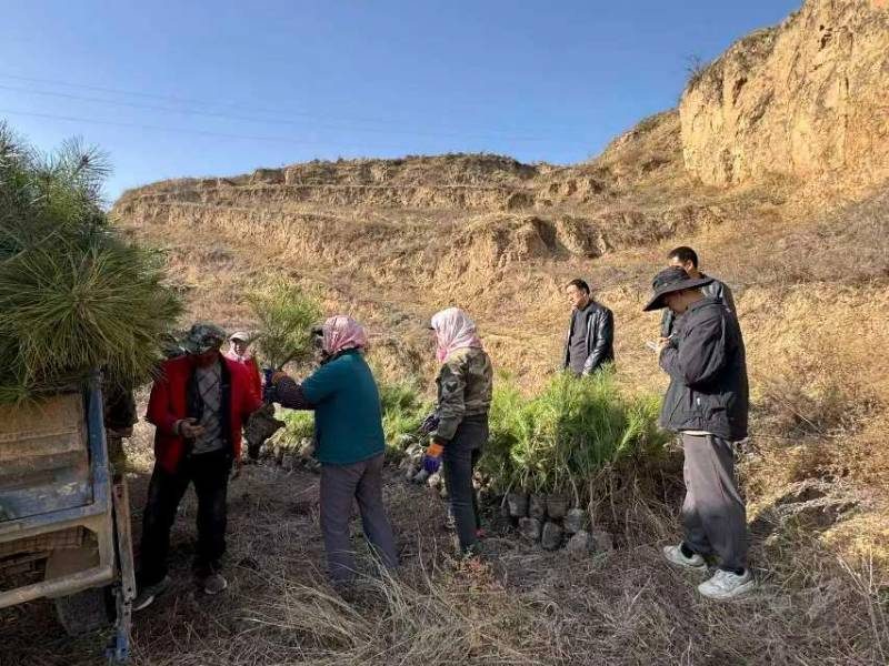 1772789544236767.jpg 15.jpg