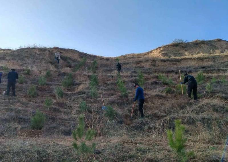 1772789555792050.jpg 16.jpg