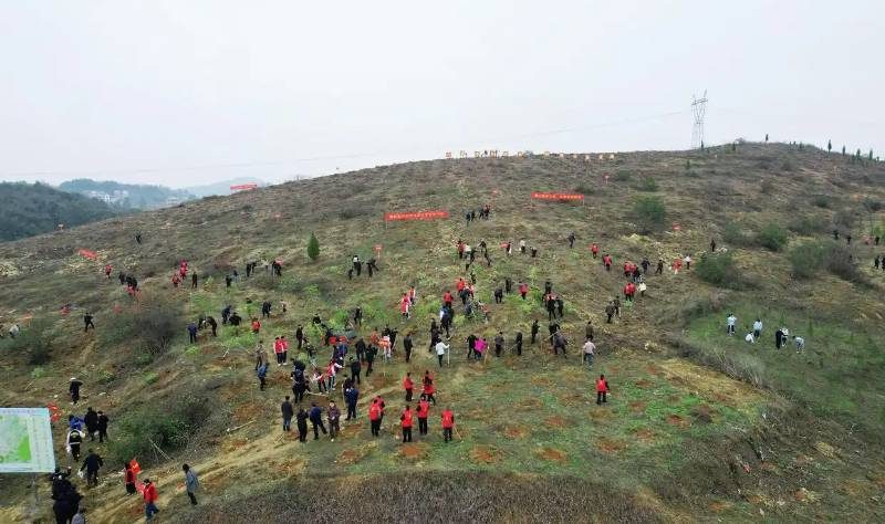 1772789911138874.jpg 18 (1).jpg