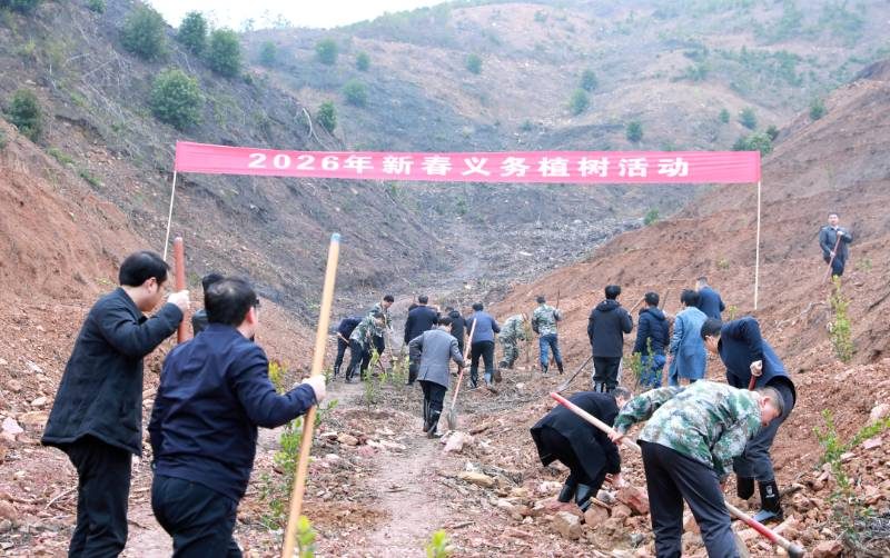 1772790787383921.jpg 13.jpg