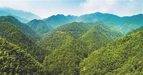 1773293265171204.jpg 3 (1).jpg