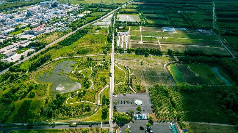 1773311580275120.jpg 2 (1).jpg