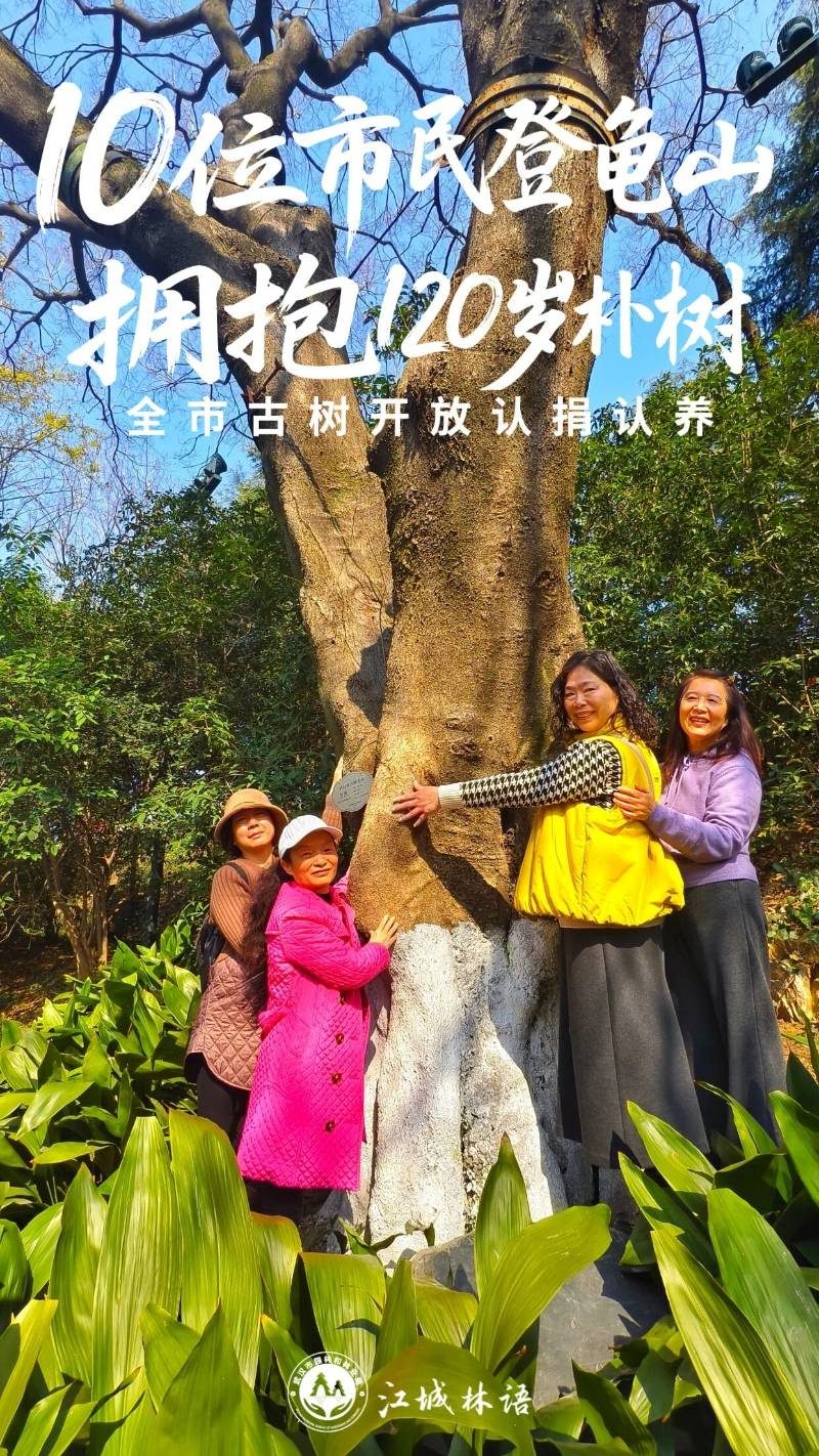 1773312570868326.jpg 1.jpg