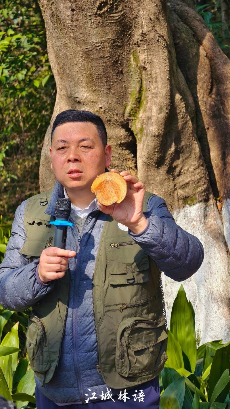 1773312597185076.jpg 3.jpg