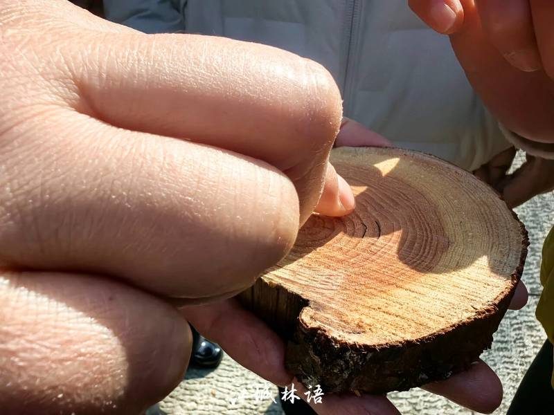 1773312617816589.jpg 4.jpg