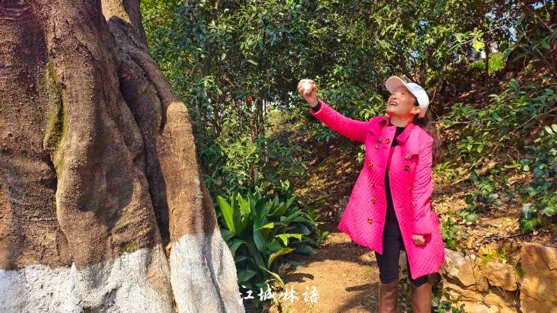 1773312630608151.jpg 5.jpg