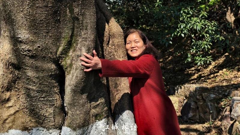 1773312643950357.jpg 6.jpg