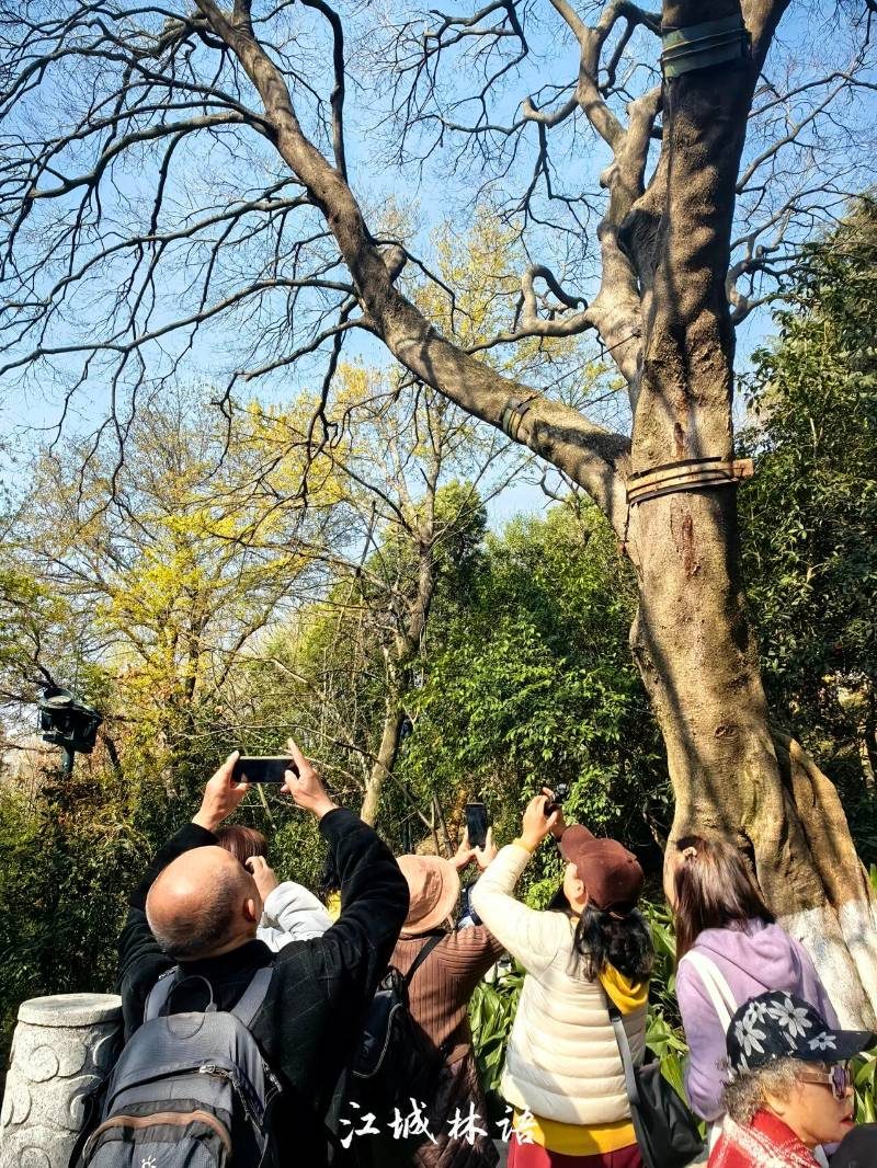 1773312657488041.jpg 7.jpg