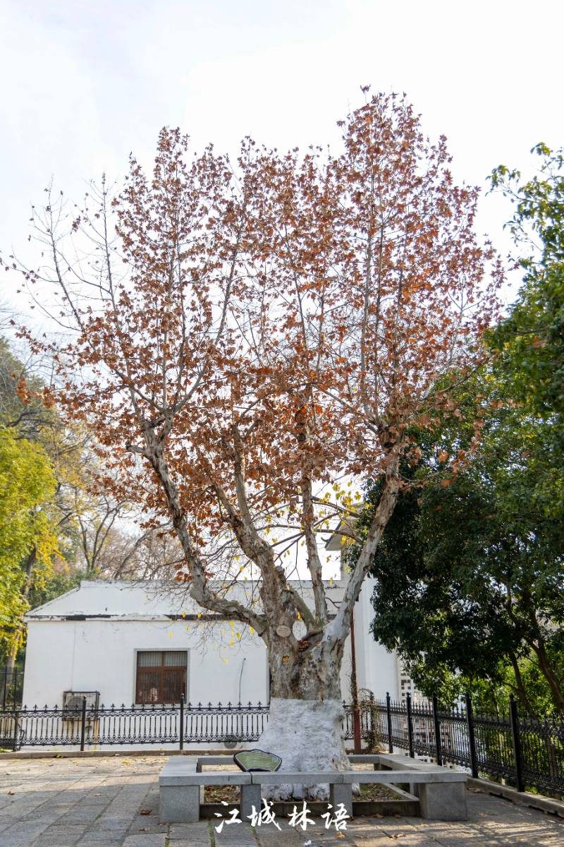 1773312670213528.jpg 8.jpg