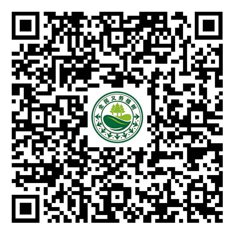 1773312684355058.jpg 9.jpg